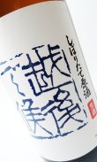 画像1: 八海山　しぼりたて原酒　越後で候（青越後）　1800ml 【新潟県】【八海山】【日本酒】