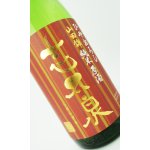 画像: 志太泉　ひやおろし　純米原酒　1800ml 【静岡県】【志太泉酒造】【日本酒】