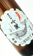 画像1: 酔鯨　純米吟醸　吟麗しぼりたて生酒　1800ml 【酔鯨酒造】【日本酒】