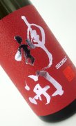 画像2: 神開　純米激辛口2024　生原酒　720ml 【滋賀県】【藤木酒造】【日本酒】